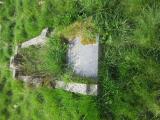 image of grave number 565528